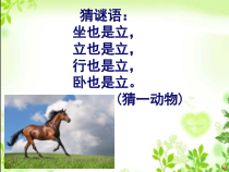 美术【沪教版】二年级上册11《装饰的骏马》PPT课件（共32页）