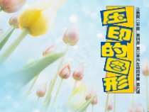 美术【沪教版】二年级下册6《压印的图形》PPT课件（共12页）