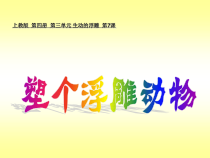 美术【沪教版】二年级下册7《塑个浮雕动物》PPT课件（共20 页）