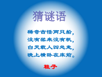 美术【沪教版】三年级下册2《画画我的鞋子》PPT课件（共12页）