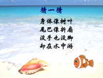 美术【沪教版】三年级下册16《游动的鱼》PPT课件（共18页）