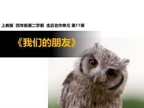 美术【沪教版】四年级下册11《我们的朋友》PPT课件（共59页）