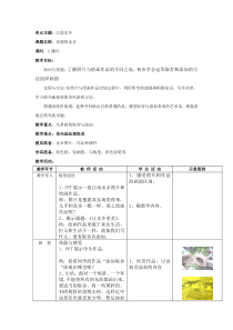 美术【沪教版】五年级下册2《美丽的水乡》教案