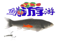 美术【冀美版】一年级上册《13.鱼儿游啊游》PPT课件2