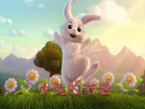 美术【冀美版】一年级下册《12.小兔的奇遇》PPT课件3