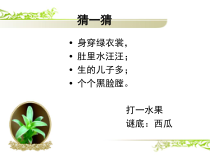 美术【冀美版】二年级上册《4.瓜果飘香》PPT课件7