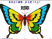 美术【冀美版】二年级上册《8.对剪花样》PPT课件4