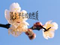 《平行线判定方法的应用》PPT课件3-七年级下册数学青岛版