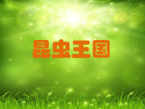 美术【冀美版】二年级上册《11.昆虫王国》PPT课件2