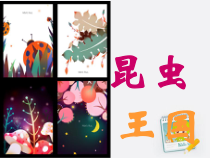 美术【冀美版】二年级上册《11.昆虫王国》PPT课件1