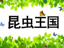 美术【冀美版】二年级上册《11.昆虫王国》PPT课件4