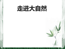 美术【冀美版】二年级上册《20.走进大自然》PPT课件1
