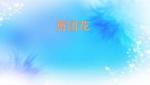 美术【冀美版】二年级下册《4.剪团花》PPT课件2