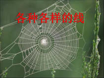 美术【冀美版】二年级下册《2.各种各样的线》PPT课件6