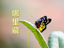 美术【冀美版】三年级上册《9.哪里藏》PPT课件2