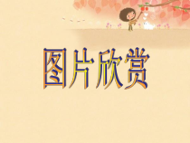 美术【冀美版】三年级下册《1.原色和间色》PPT课件4