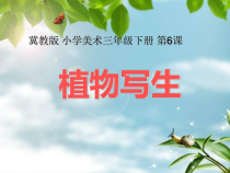 美术【冀美版】三年级下册《6.植物写生》PPT课件1