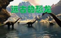 美术【冀美版】三年级下册《14.远古的恐龙》PPT课件4
