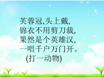 美术【冀美版】四年级上册《6.大花鸡》PPT课件7