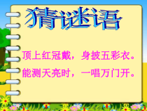 美术【冀美版】四年级上册《6.大花鸡》PPT课件6