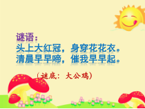 美术【冀美版】四年级上册《6.大花鸡》PPT课件1