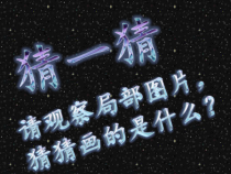 美术【冀美版】五年级上册《1.描龙画凤》PPT课件1