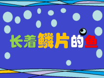 美术【辽海版】二年级上册《第12课 长着鳞片的鱼①②》PPT课件2(1)
