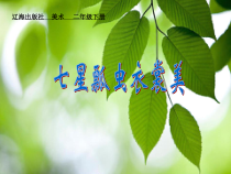 美术【辽海版】二年级下册《第6课 七星瓢虫衣裳美》PPT课件3