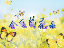 美术【辽海版】一下第11课《会飞的花朵》PPT课件7