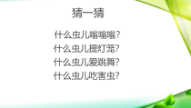 美术【辽海版】二下第7课《虫趣》PPT课件3