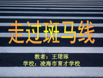 美术【辽海版】二下第14课《走过斑马线》PPT课件5