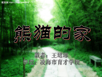美术【辽海版】二下第22课《熊猫的家》PPT课件8