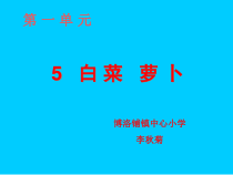 美术【辽海版】三下第5课《白菜萝卜》PPT课件4
