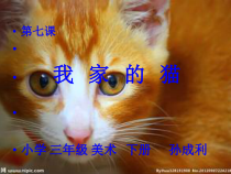 美术【辽海版】三下第7课《我家的猫》PPT课件8