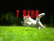 美术【辽海版】三下第7课《我家的猫》PPT课件6