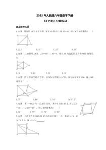 2023年人教版八年级数学下册《正方形》分层练习(原卷版)
