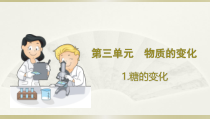 小学科学大象版六年级下册第三单元第1课《糖的变化》课件（2023春）