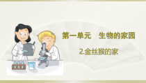 小学科学大象版六年级下册第一单元第2课《金丝猴的家》课件（2023春）