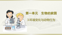 小学科学大象版六年级下册第一单元第3课《环境变化与动物行为》课件（2023春）
