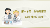 小学科学大象版六年级下册第一单元第5课《保护生物的家园》课件（2023春）