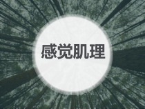 美术【辽海版】四上第5课《感觉肌理》PPT课件1