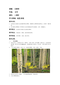 美术【辽海版】五上第6课《白桦林》教案1