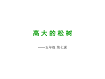 美术【辽海版】五上第7课《高大的松树》PPT课件3