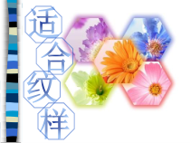 美术【辽海版】五上第9课《适合纹样》PPT课件1