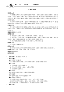 美术【辽海版】五上第11课《玉米皮贴画》教案2