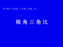 《2.1 锐角三角比》PPT课件2-九年级上册数学青岛版