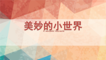 美术【岭南版】一年级上册《1. 美妙的小世界》PPT课件1