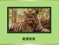 美术【岭南版】一年级上册《5. 变换的画面》PPT课件2