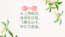 美术【岭南版】一年级上册《10. 可爱的小虫》PPT课件6