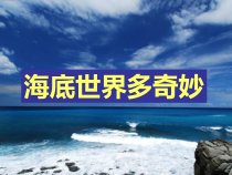 美术【岭南版】一年级下册《2. 海底世界多奇妙》PPT课件1(1)